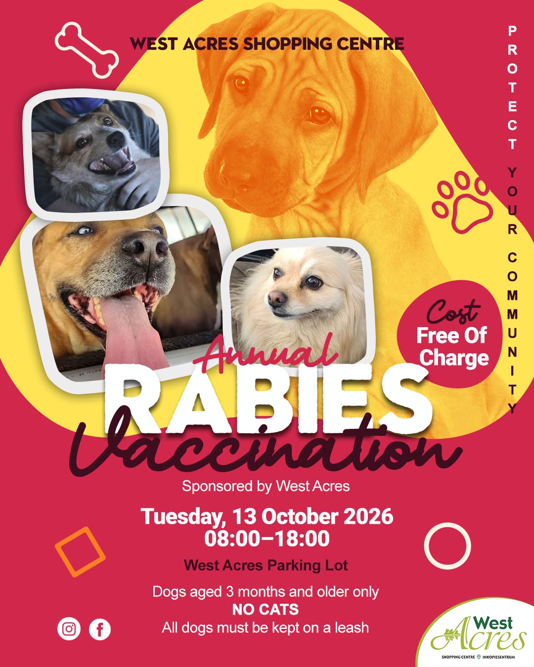Free Rabies Vaccination Drive
