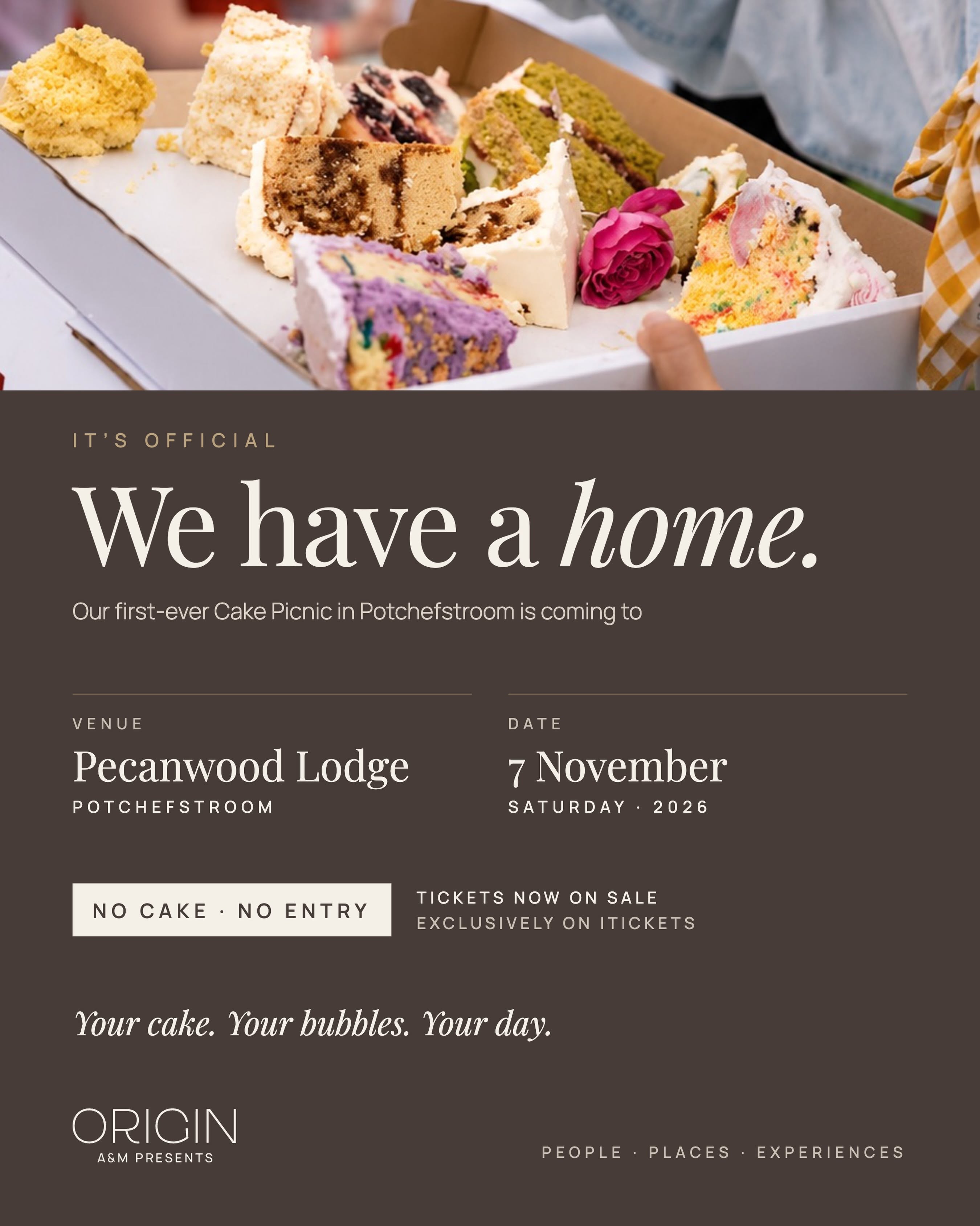 Cake Picnic in Potchefstroom