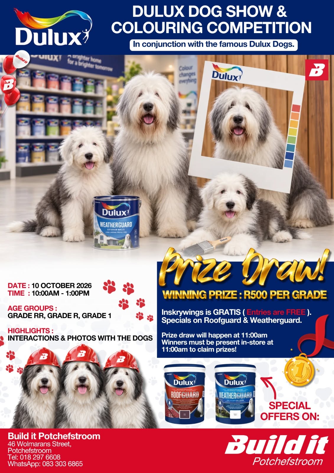Meet the Famous Dulux Dogs at Build it Potchefstroom’s Family Fun Day!