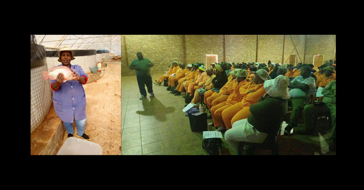 Agricultural Initiatives and Community Programs Boost Local Development in North West