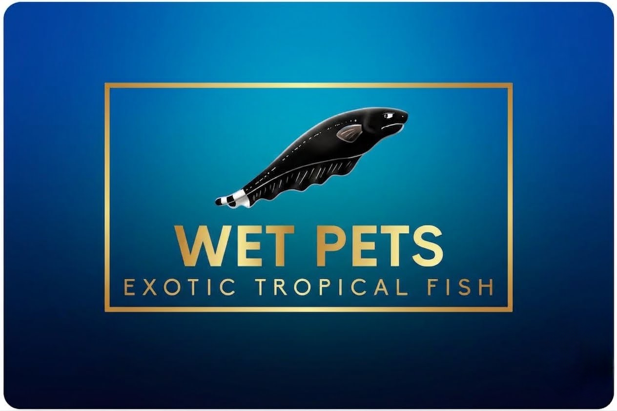 Wet Pets logo