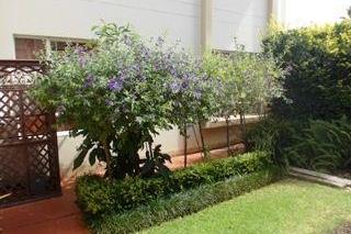 3 Bedroom Townhouse to Rent in Wilkoppies
